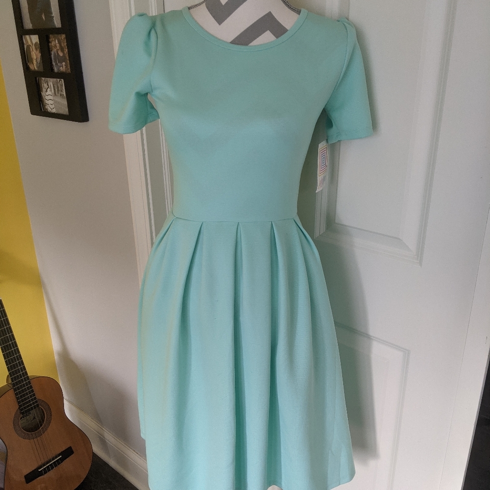 LulaRoe Amelia Dress - XS (Pockets!)